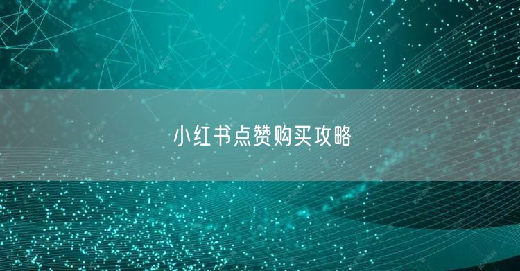小红书点赞购买攻略