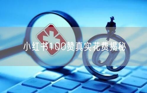 小红书100赞真实花费揭秘