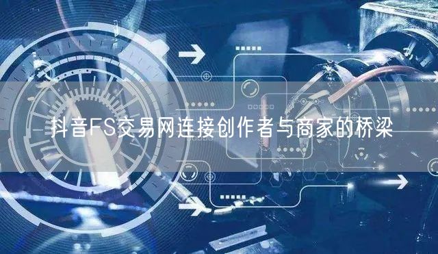 抖音FS交易网连接创作者与商家的桥梁