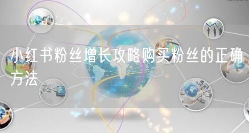 小红书粉丝增长攻略购买粉丝的正确方法