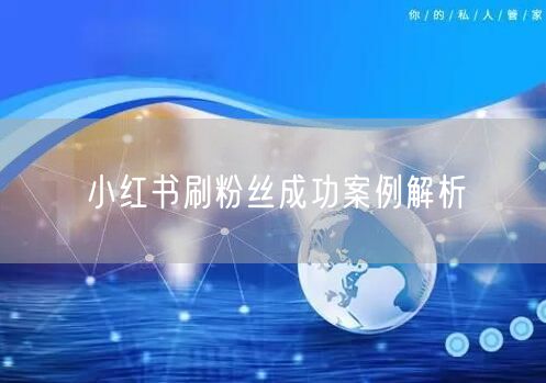 小红书刷粉丝成功案例解析
