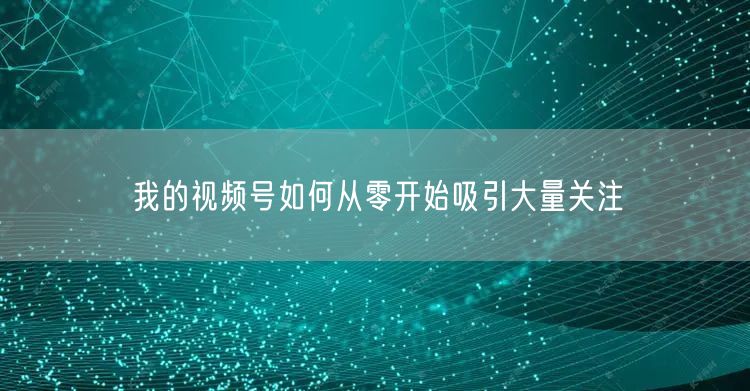 我的视频号如何从零开始吸引大量关注