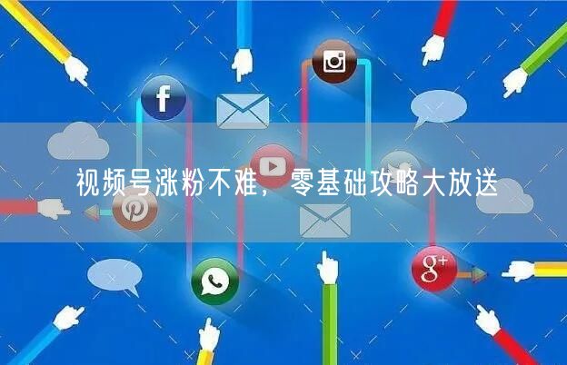 视频号涨粉不难，零基础攻略大放送