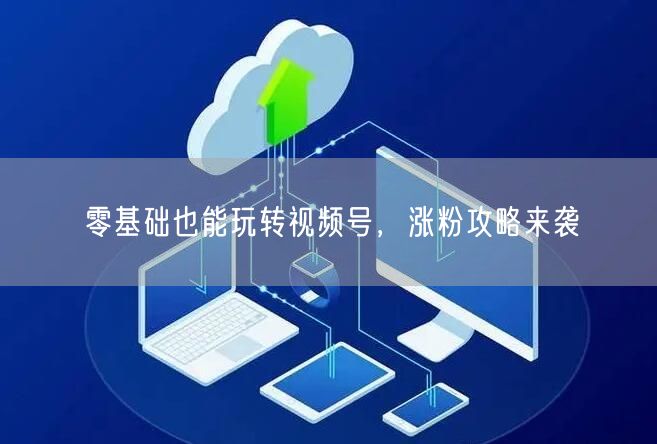 零基础也能玩转视频号，涨粉攻略来袭
