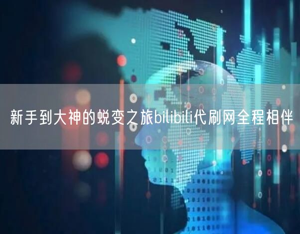 新手到大神的蜕变之旅bilibili代刷网全程相伴