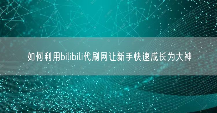 如何利用bilibili代刷网让新手快速成长为大神