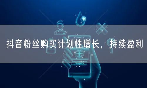 抖音粉丝购买计划性增长，持续盈利