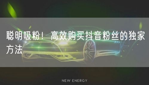 聪明吸粉！高效购买抖音粉丝的独家方法