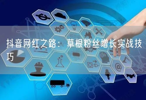 抖音网红之路：草根粉丝增长实战技巧