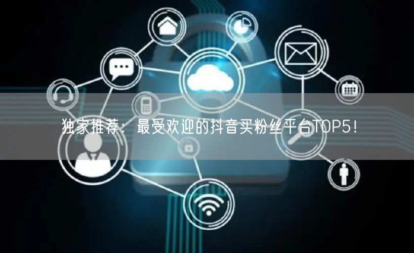 独家推荐：最受欢迎的抖音买粉丝平台TOP5！