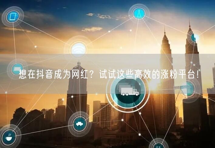 想在抖音成为网红？试试这些高效的涨粉平台！