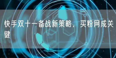 快手双十一备战新策略，买粉网成关键