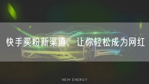 快手买粉新渠道，让你轻松成为网红